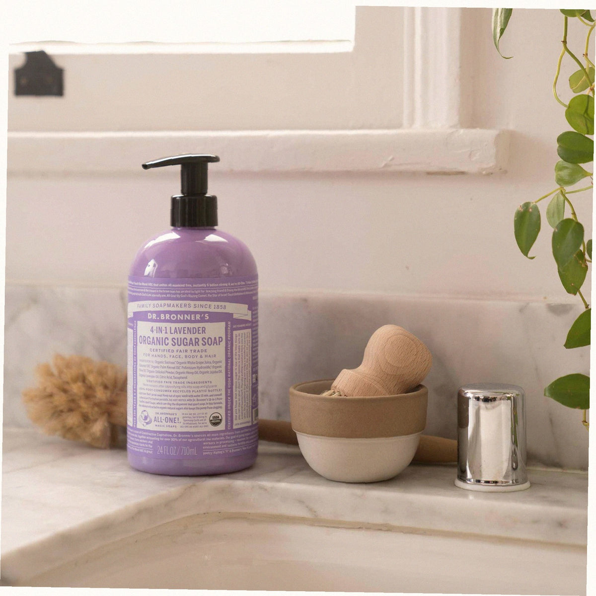 Lavender Organic Sugar Soap Creamy Body Wash